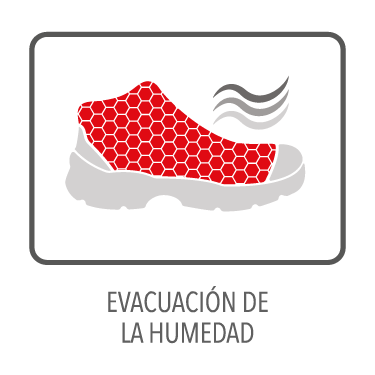 EVACUACIÓNDELAHUMEDAD