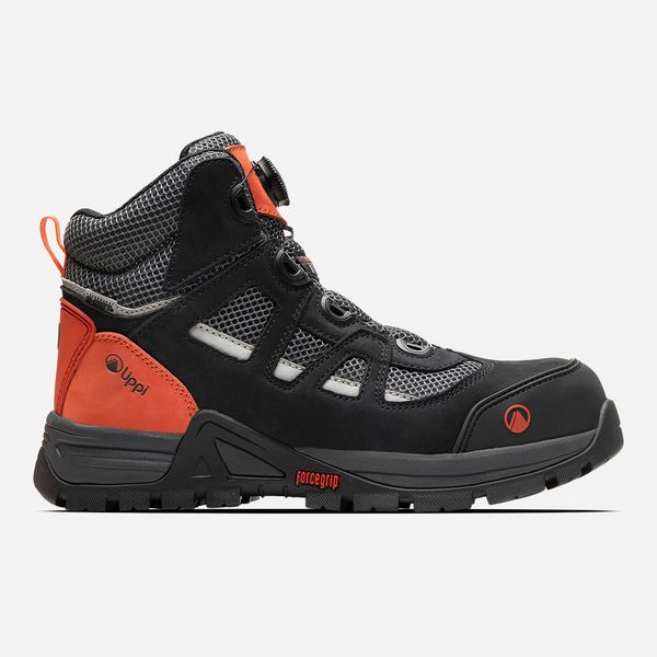 image-768e1852408641e1964dedba3f5084ba