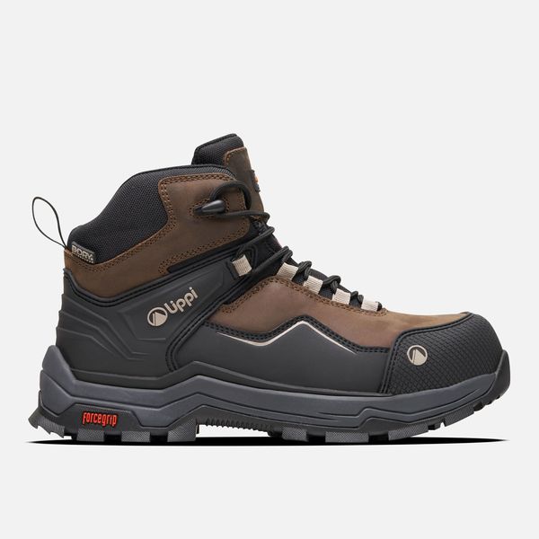 image-f19dc66bd65a42a39cd876aeeba9e9cf